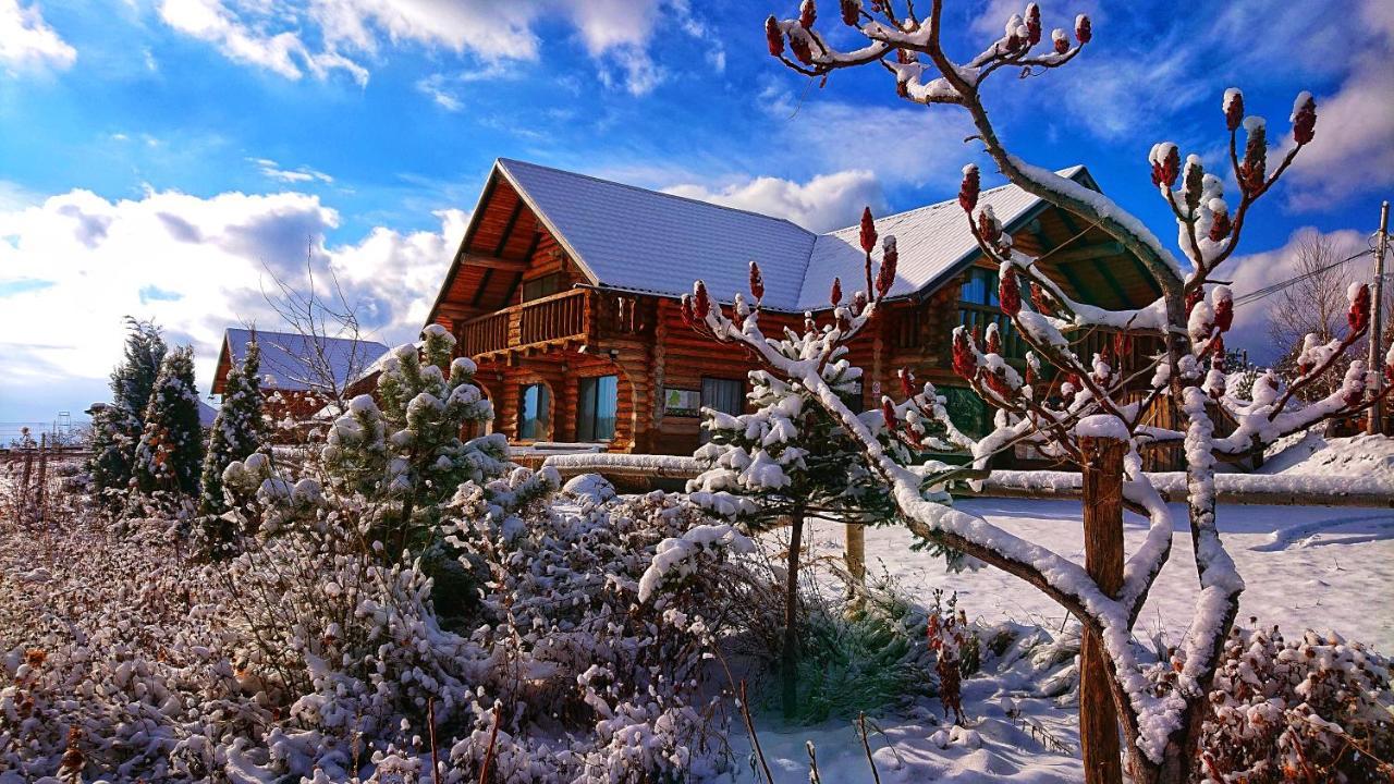 Pensiunea Lacul Mocearu Hotell Budesti  Exteriör bild