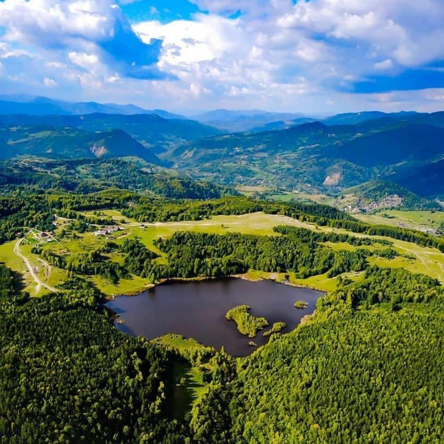 Pensiunea Lacul Mocearu Hotell Budesti  Exteriör bild