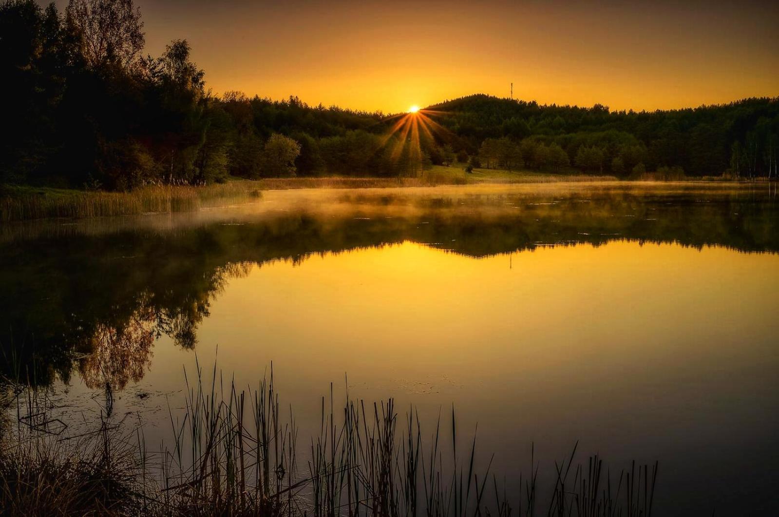 Pensiunea Lacul Mocearu Hotell Budesti  Exteriör bild